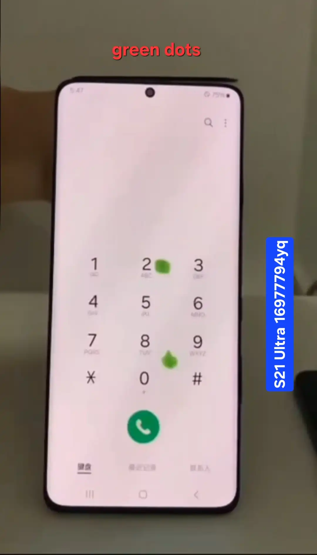 S21 Ultra Screen (original dot)