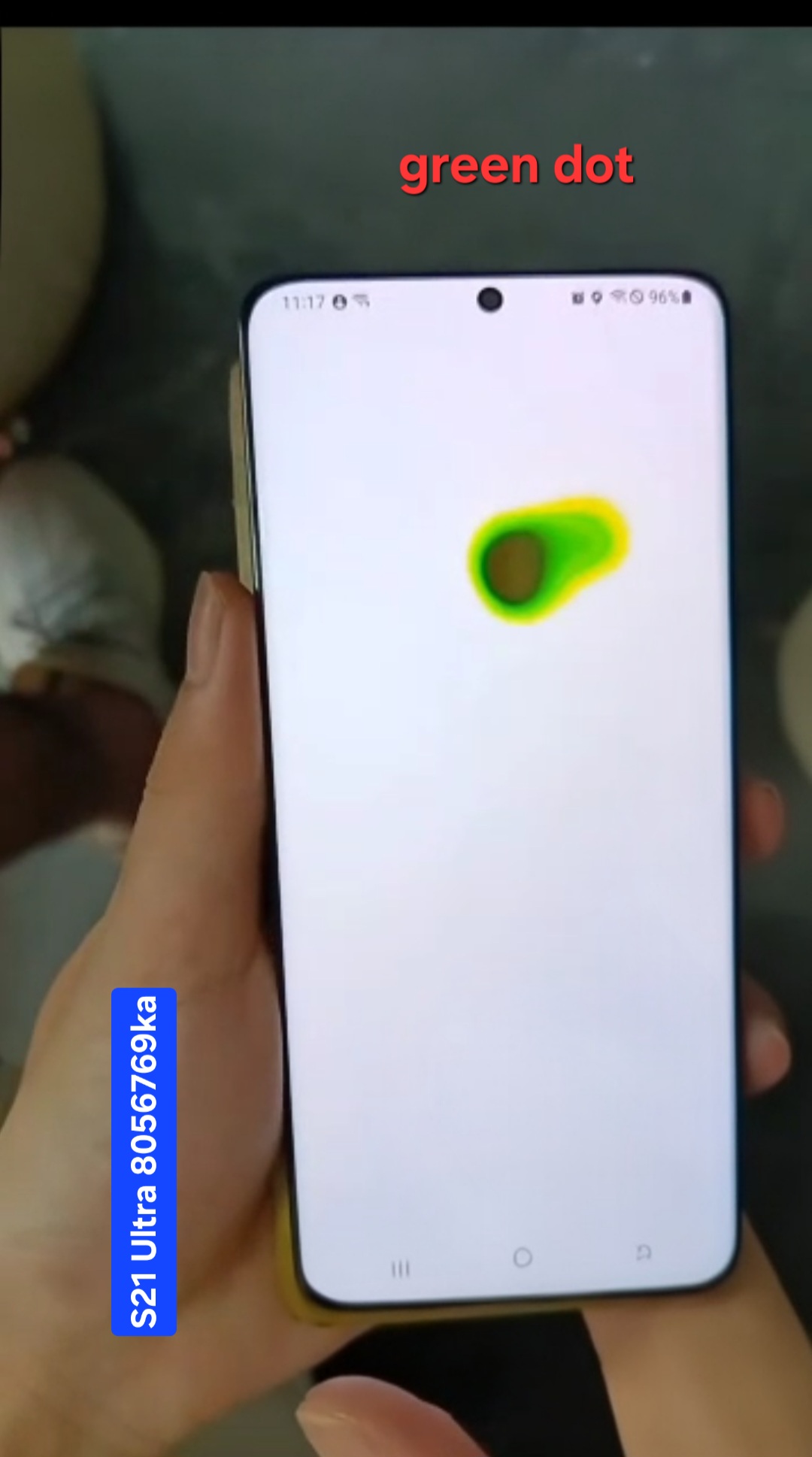 S21 Ultra Original Screen (dot)